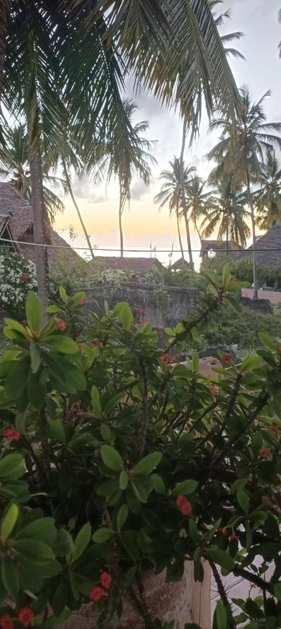 Amka House * Jambiani (Zanzibar)